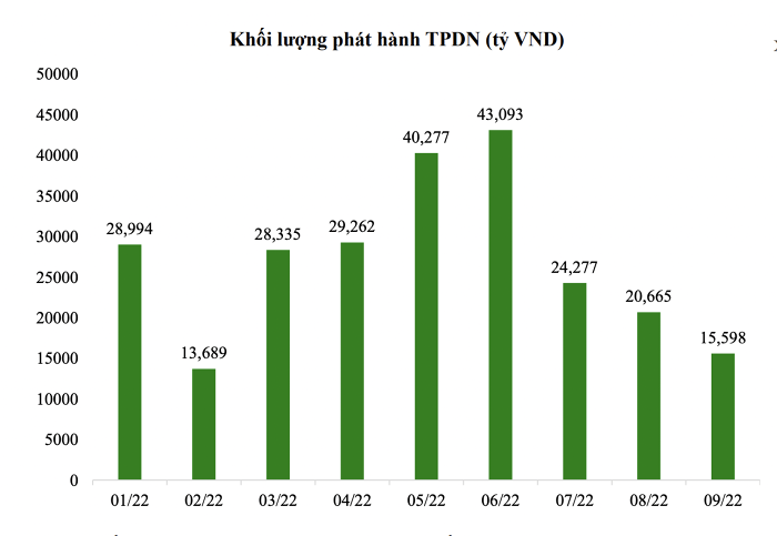 Khối lượng đáo hạn trái phiếu doanh nghiệp cuối năm tập trung phần lớn ở nhóm ngân hàng và bất động sản