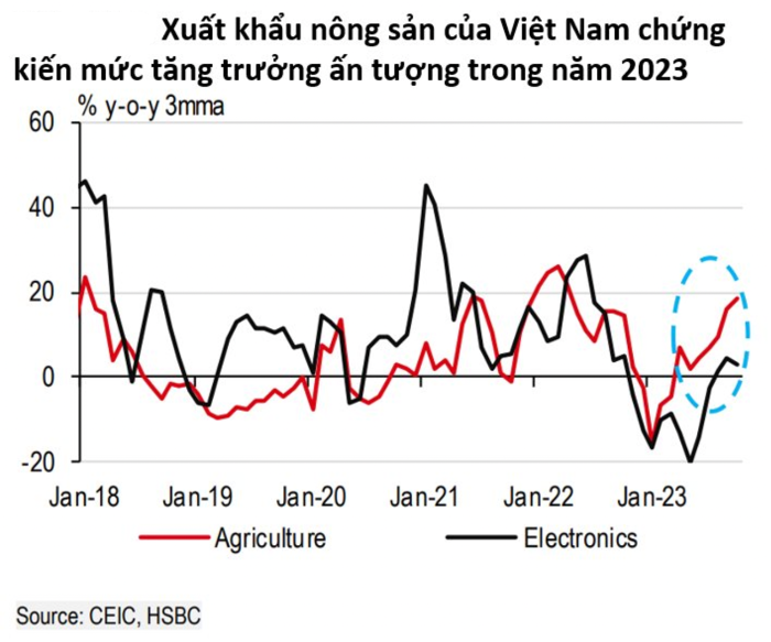 Xuất khẩu nông sản Việt Nam vươn lên bất chấp nghịch cảnh