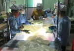 Nghị quyết 68 đi vào cuộc sống – Bài cuối: Doanh nghiệp đầu ngành sẽ là ‘đầu tàu’ của nền kinh tế