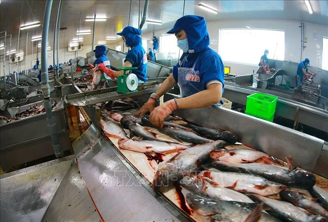 Kích hoạt các động lực phát triển để kinh tế tăng trưởng vượt 8%