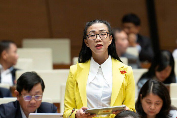 Đề nghị siết chặt quản lý khai thác đất hiếm để tránh ô nhiễm phóng xạ