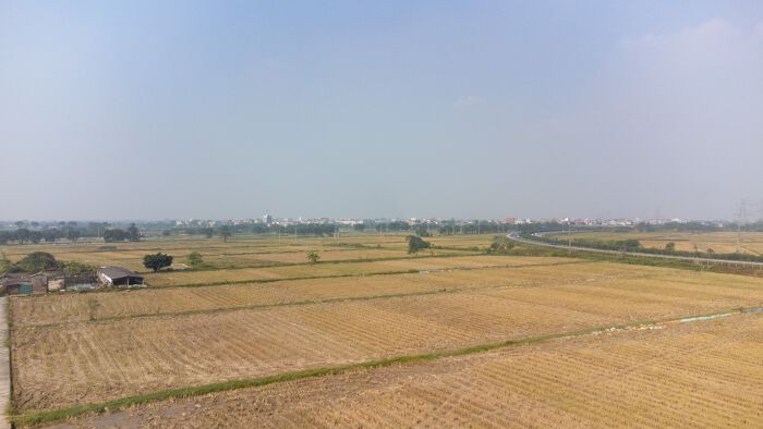 Cận cảnh nơi sắp xây nút giao của 3 nhánh cao tốc và đường dẫn lên cầu Tứ Liên ở Đông Anh