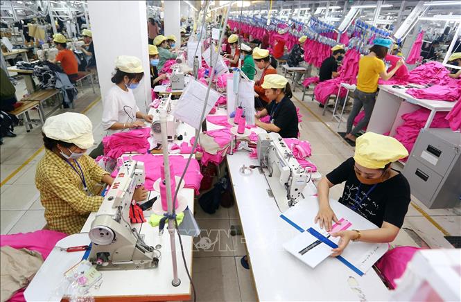 Nghị quyết 68-NQ/TW: Kích hoạt chuyển đổi hộ kinh doanh