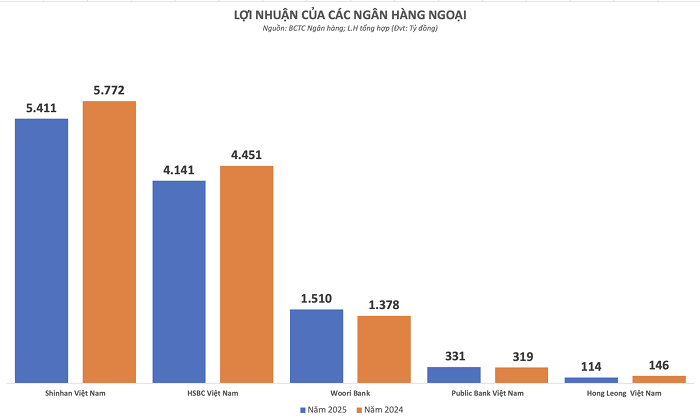 Ngân hàng ngoại ‘hụt hơi’ lợi nhuận trong năm 2025