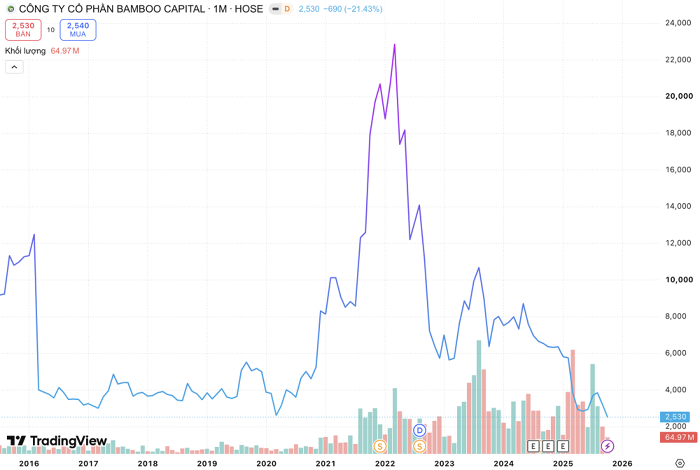 CEO Bamboo Capital gửi tâm thư xin lỗi cổ đông sau quyết định hủy niêm yết