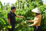 Nghị quyết 10 mở động lực mới thu hút FDI chất lượng cao