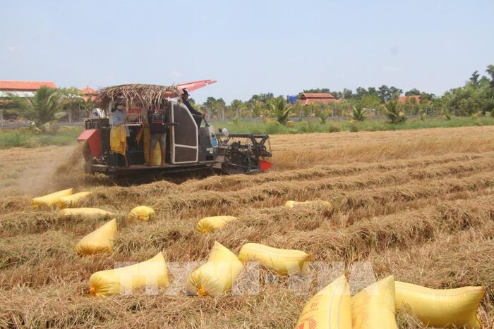 Kinh tế xanh và tuần hoàn – Chìa khóa phát triển bền vững